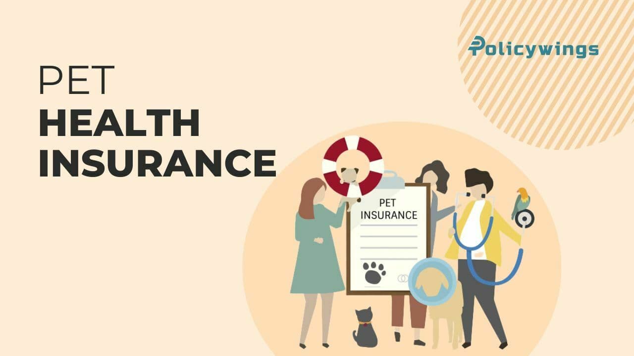 In-Depth Guide to Pet Health Insurance: Benefits and Selection