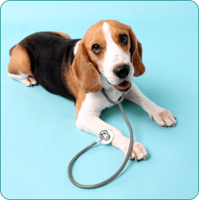 Prescription medications