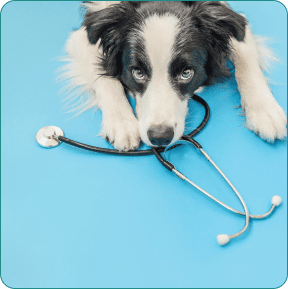 Congenital conditions