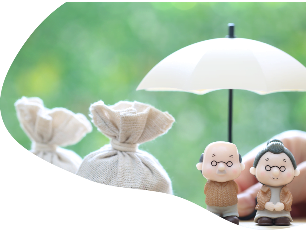 pension, retirement savings scheme, insurance, health insurance