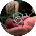 Standalone newborn baby health insurance Standalone newborn baby health insurance