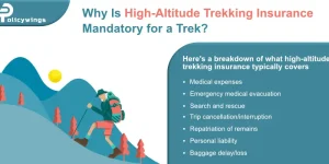 Why Is High-Altitude Trekking Insurance Mandatory For a Trek?