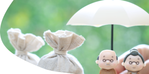 pension, retirement savings scheme, insurance, health insurance