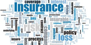 what should you take, general liability insurance or professional liability insurance, insurance, policywings  