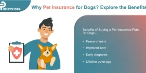 Why Pet Insurance for Dogs? Explore the Benefits