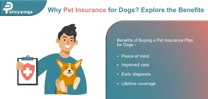 Why Pet Insurance for Dogs
